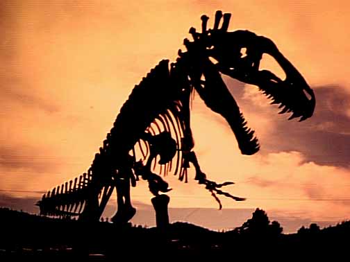 Acrocanthosaurus skeleton